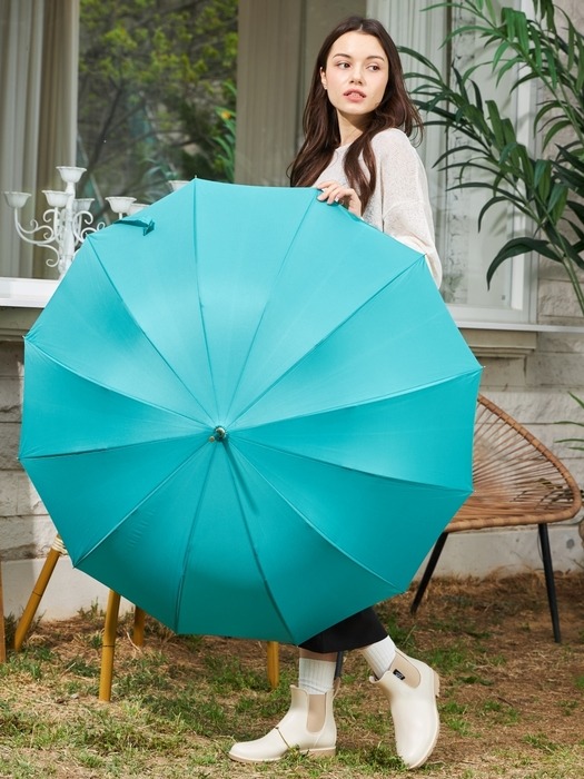 피에르가르뎅 레인보우 자동 장우산