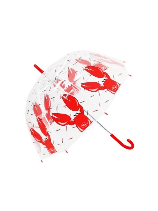 Bubble Umbrella (투명우산)