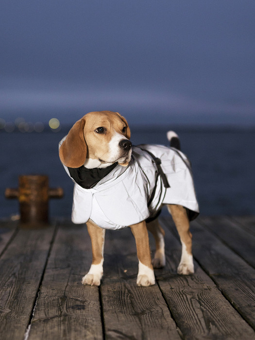 Visibility Raincoat Dark for Dogs (강아지 반사 우비)