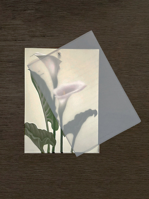 Flower letter set_Calla