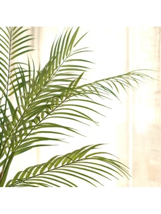 [인테리어조화] 아레카야자잎 9가지부쉬