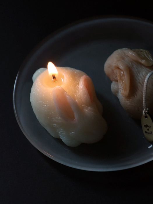 rabbit candle