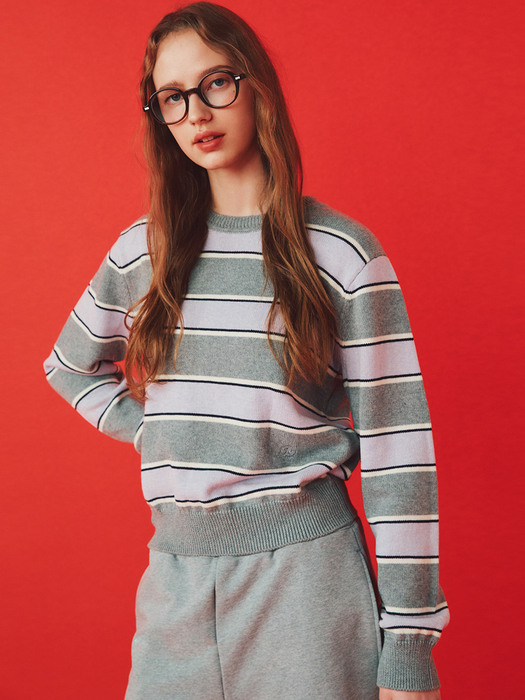 Multi-Stripe Crewneck Sweater_2color