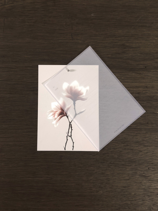Flower letter set_Magnolia