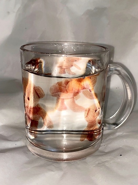 bear glass mug cup