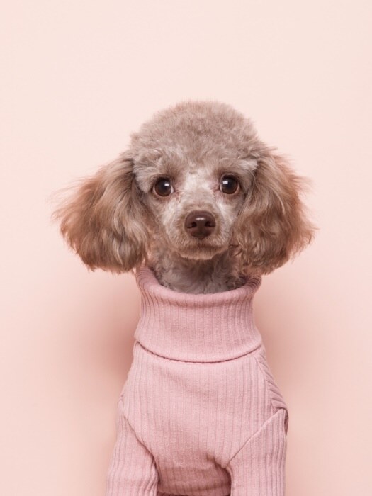 pastel knit-Pink
