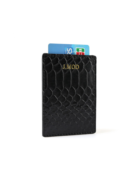 Card Case_Anaconda Black