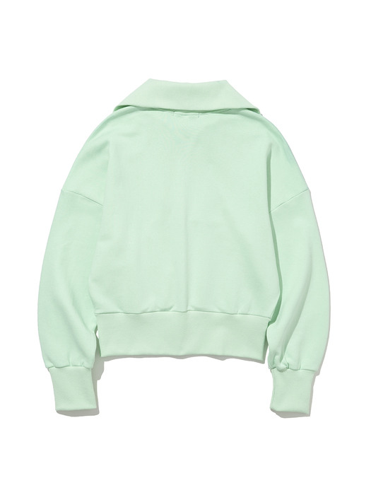RCC Half Zipup Sweatshirt [MINT]