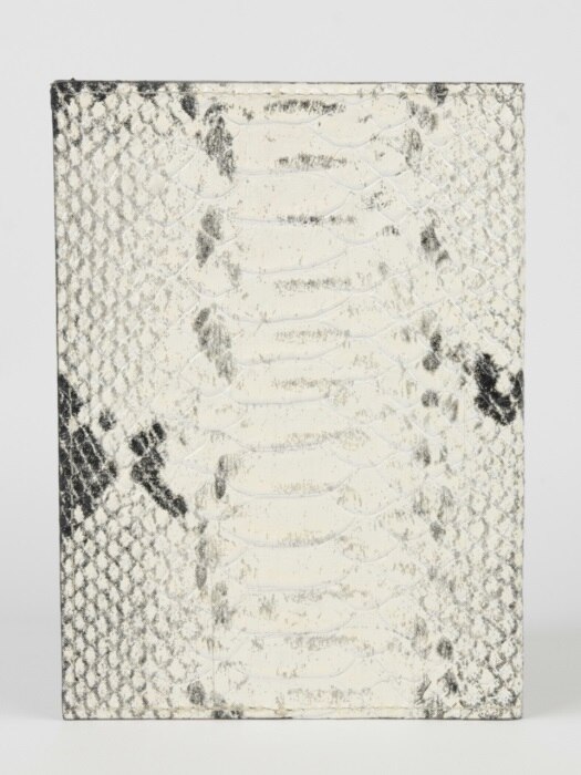 Passport Cover_Python white