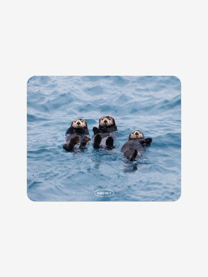 trio sea otter mouse pad
