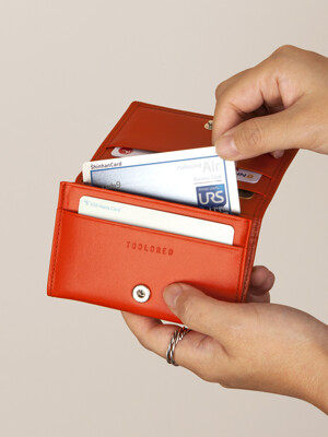 FILTER Compact Wallet 10 Color