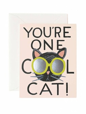Cool Cat Card 응원 카드