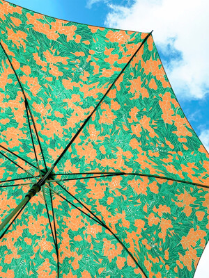 최지현 Art collaboration 우산