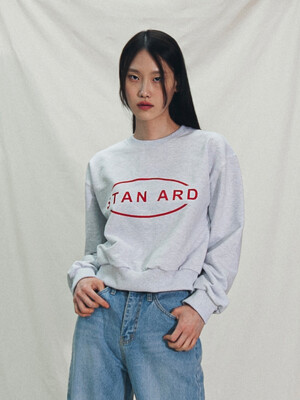 SA Logo half cropped Sweatshirt Melange Grey