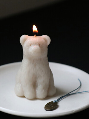 bear candle