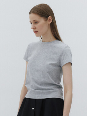 Organic cotton t-shirt (Grey)