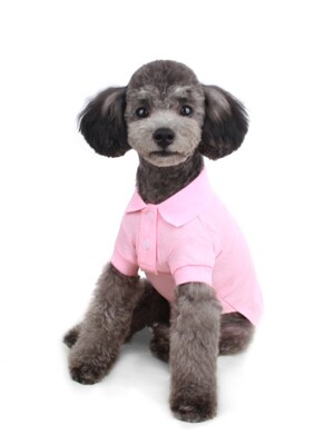 Polo Shirt_Pink