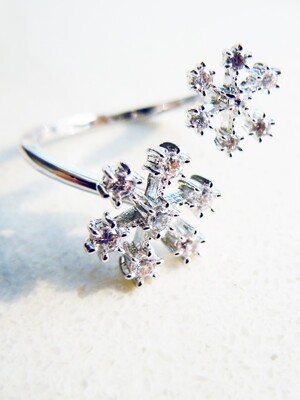 Snow Flake_Ring (2color)