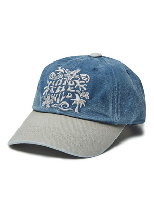 Into The Wild Cap Washed Blue