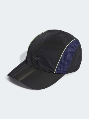 [IT7365] CAP