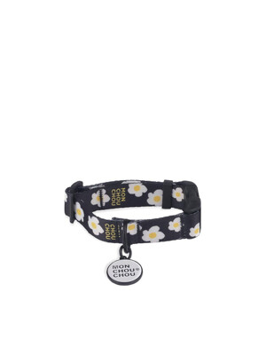 Walk with Dog_Collar Daisy