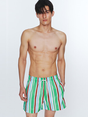 Sunburst Stripe Swim Trunks - Clover Green