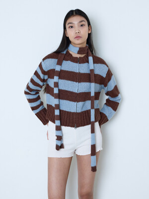 Stripe Knit Zip-Up Cardigan (Sky Blue/Brown)