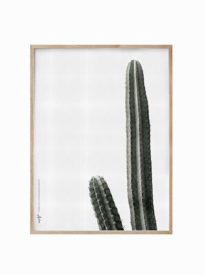 Black_Giant Cactus - Real Wood (2size)