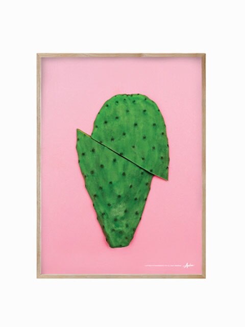 Pink Cactus - Real Wood (2size)