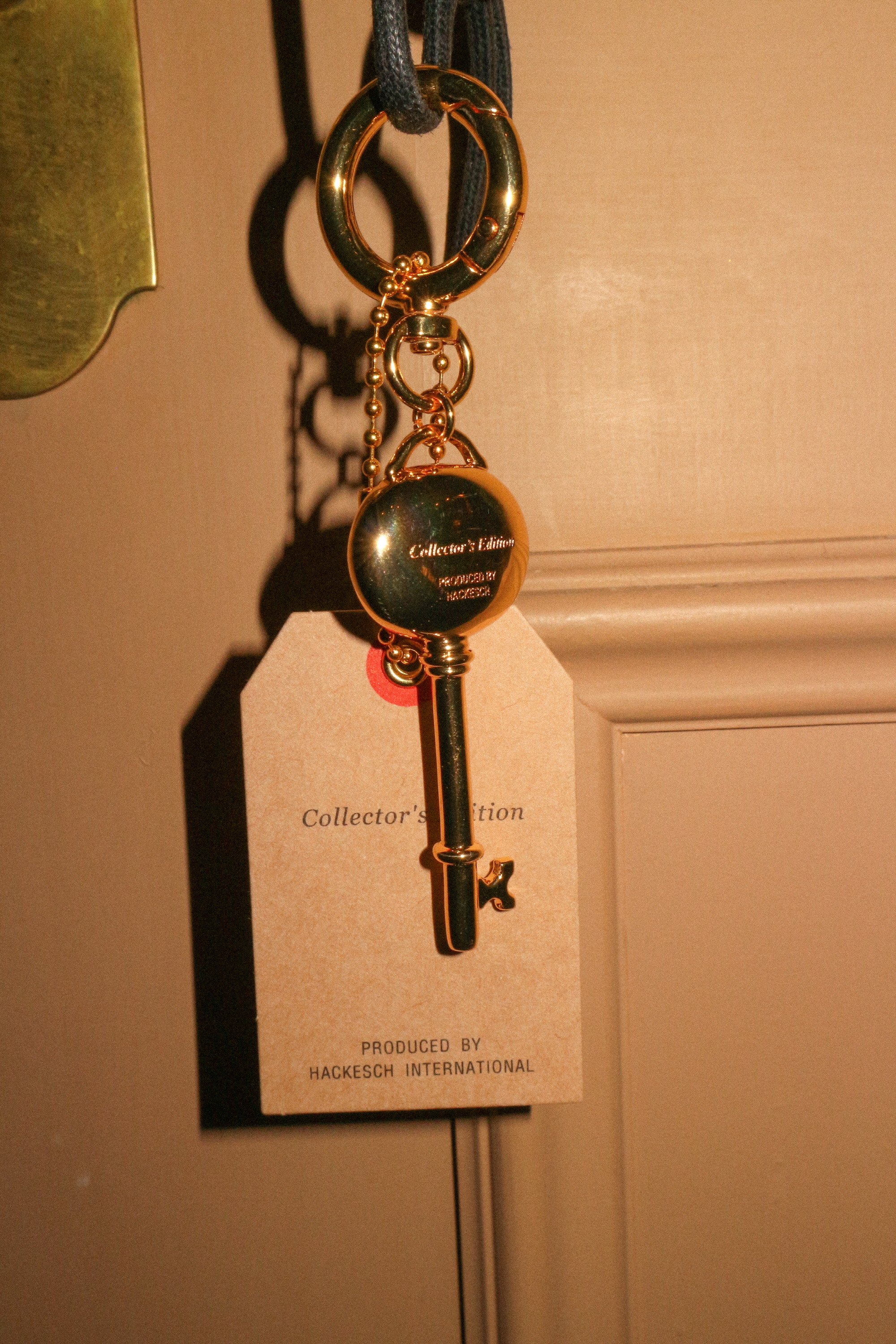 Lucky Keyring Bagcharm 상세 이미지 30