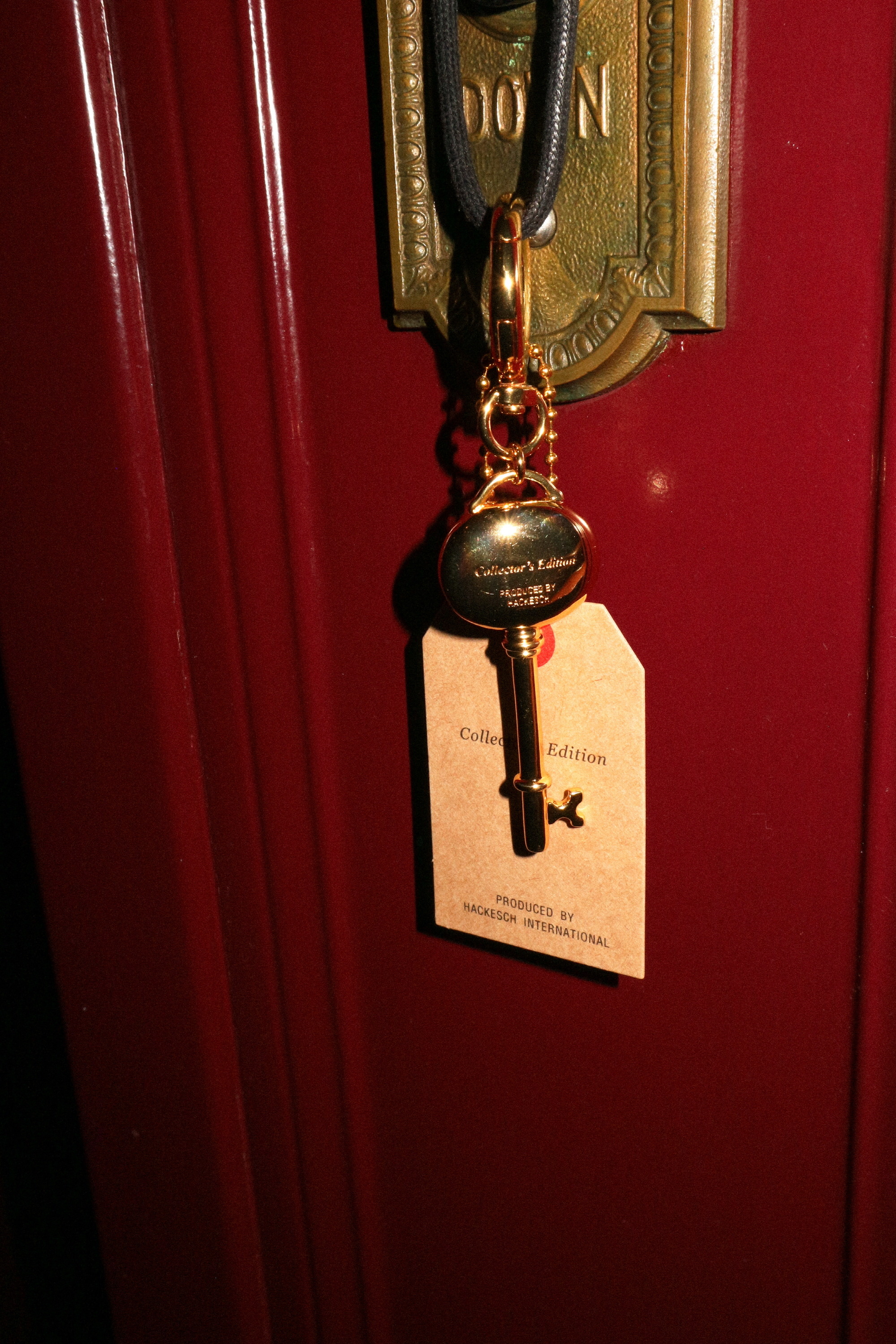 Lucky Keyring Bagcharm 상세 이미지 36