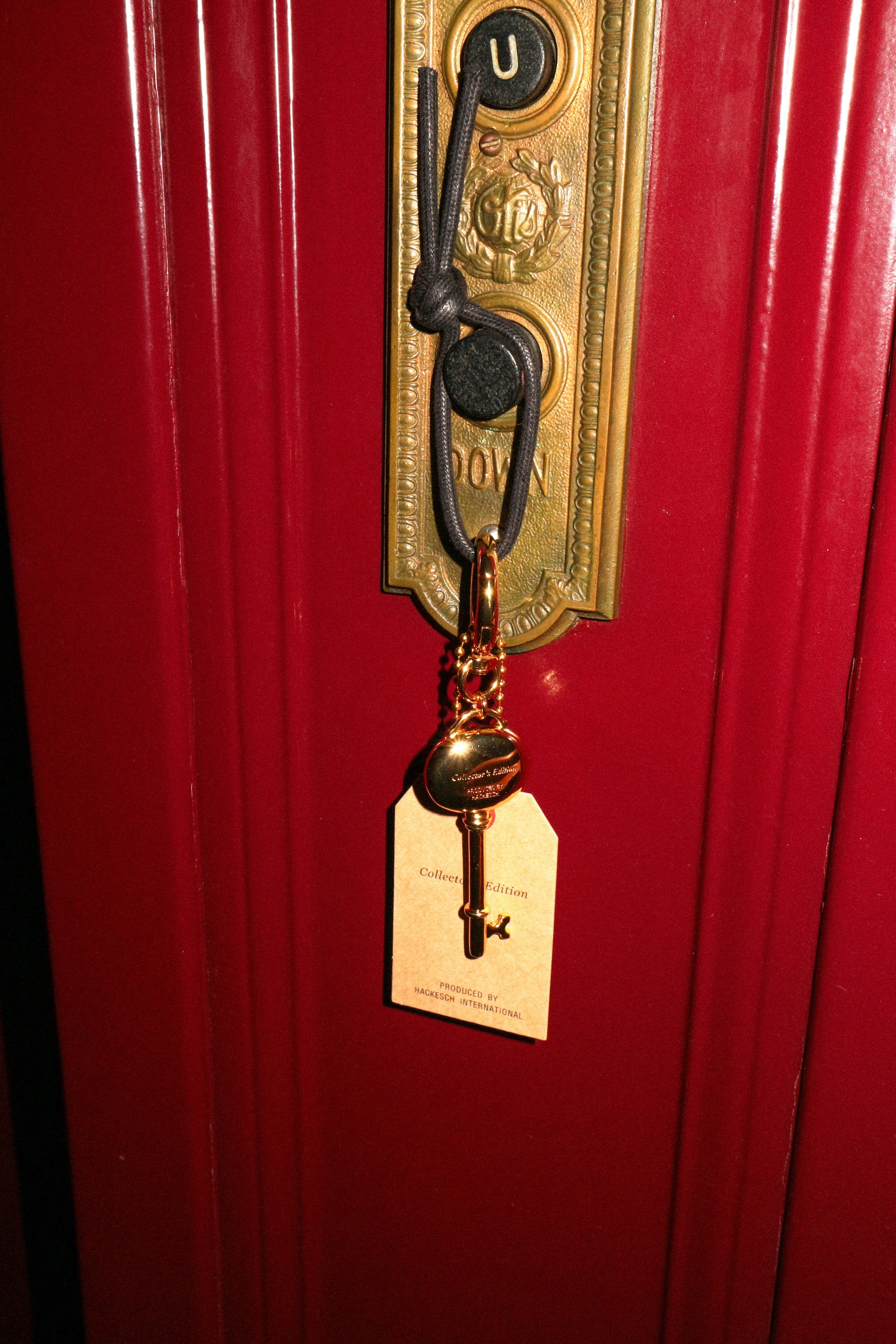 Lucky Keyring Bagcharm 상세 이미지 37
