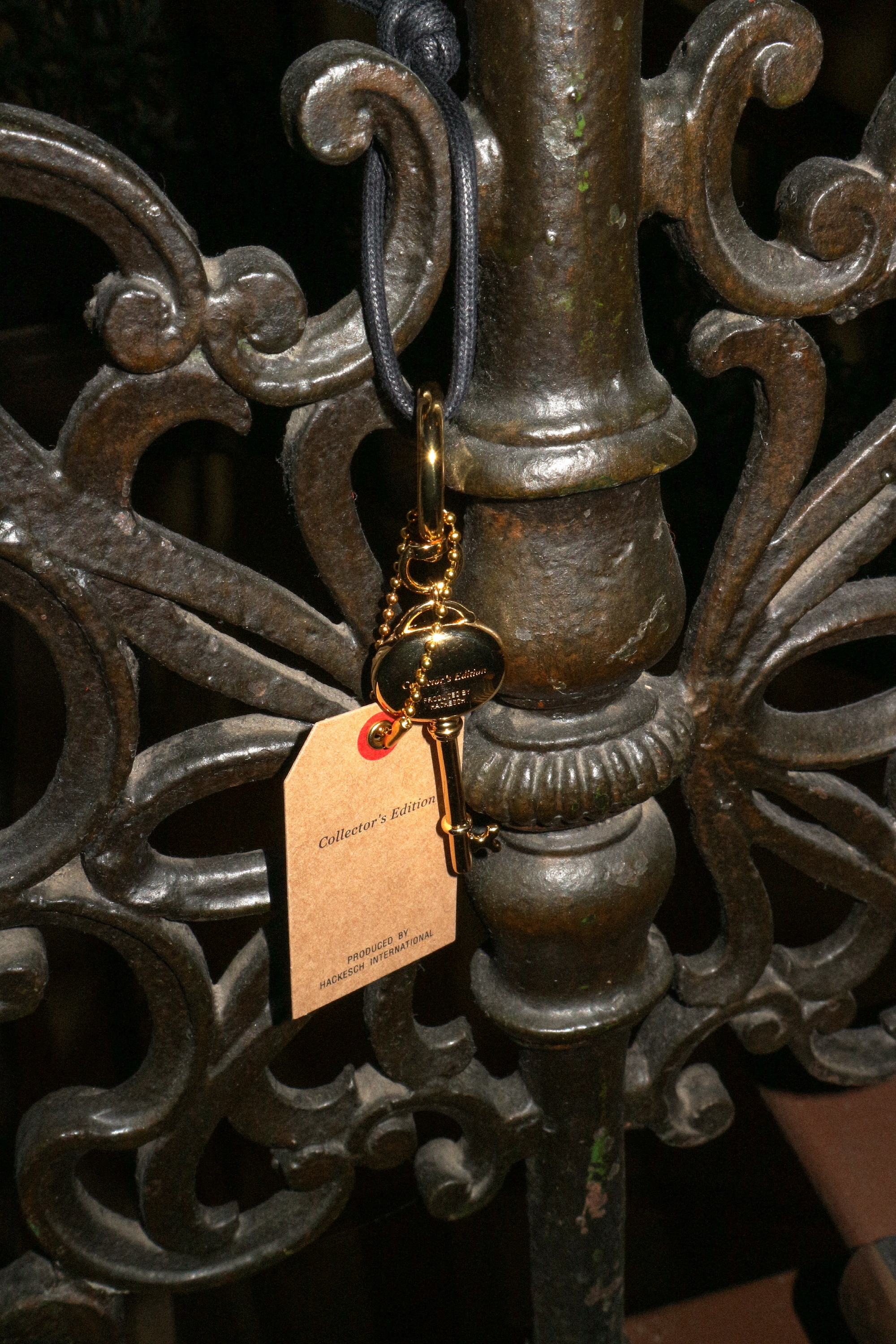 Lucky Keyring Bagcharm 상세 이미지 54