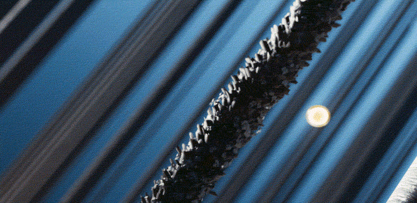 2025021015444073.gif