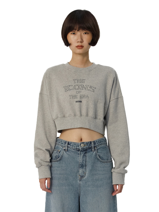 C LETTERING CROP SWEATSHIRT_GREY