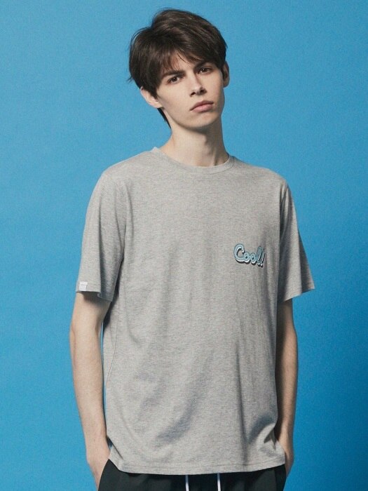 Cool Vibes logo TEE_DT209_Gray