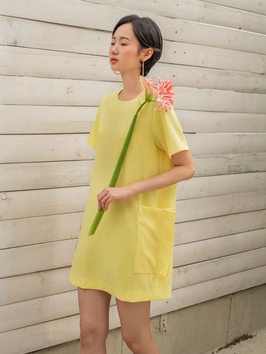  lemon pocket dress