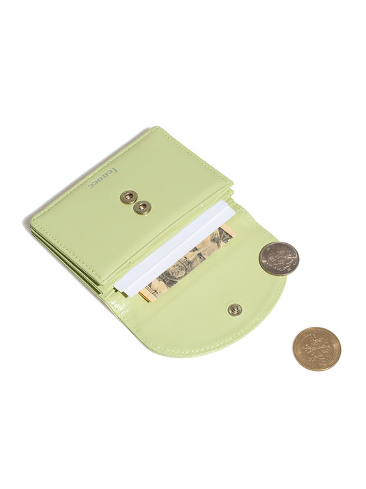 CRINKLE HALFMOON MINI WALLET - SAGE MINT