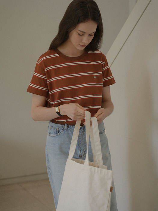 Multi stripe cotton t-shirt_Brown