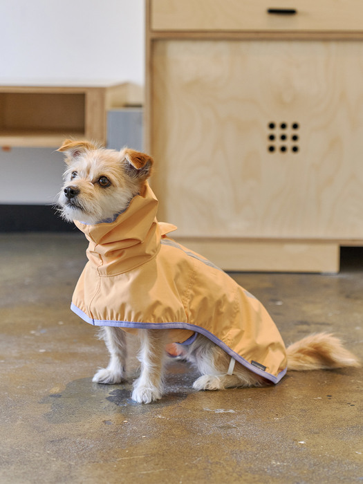 Apple Mango Rain Coat