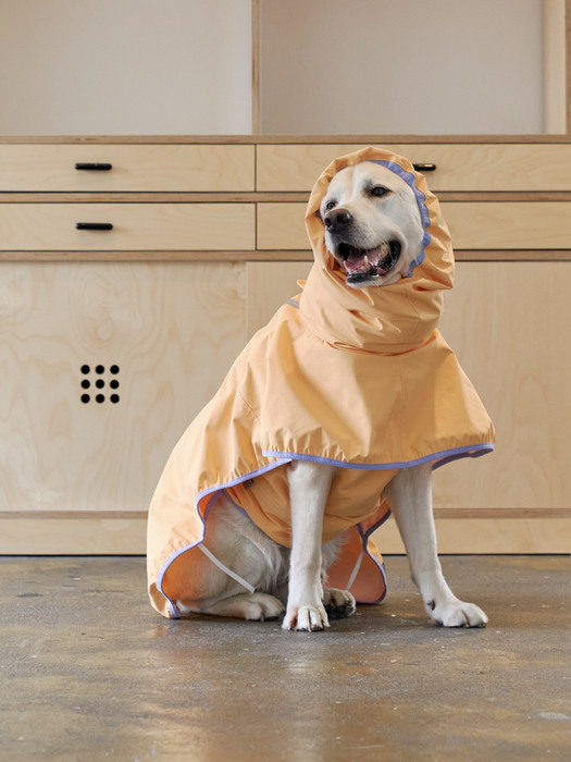 Apple Mango Rain Coat