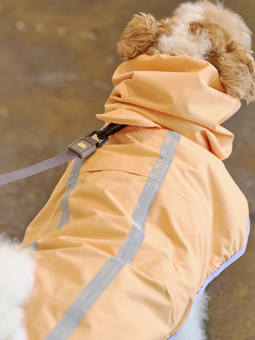 Apple Mango Rain Coat