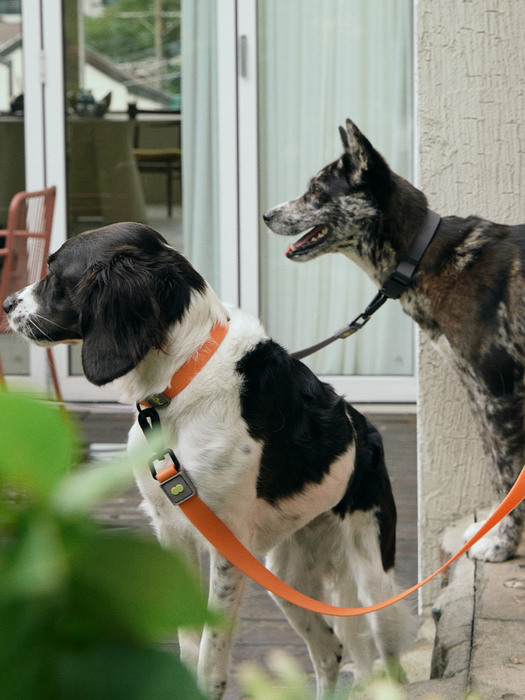 Water-Block Collar (3 Colors)