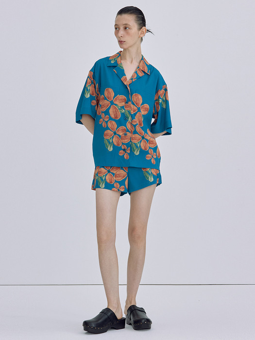 Print Half Sleeve Shirt_Teal Blue