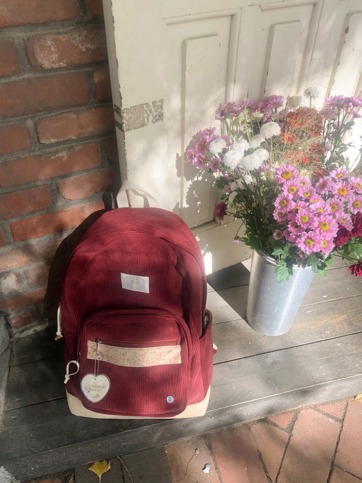 Bon voyage backpack_burgundy