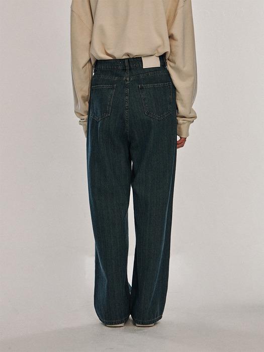 Wide pleated button striped denim pants [Jincheong]