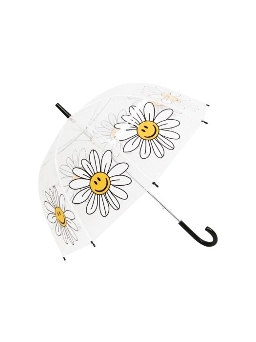 Bubble Umbrella (투명우산)
