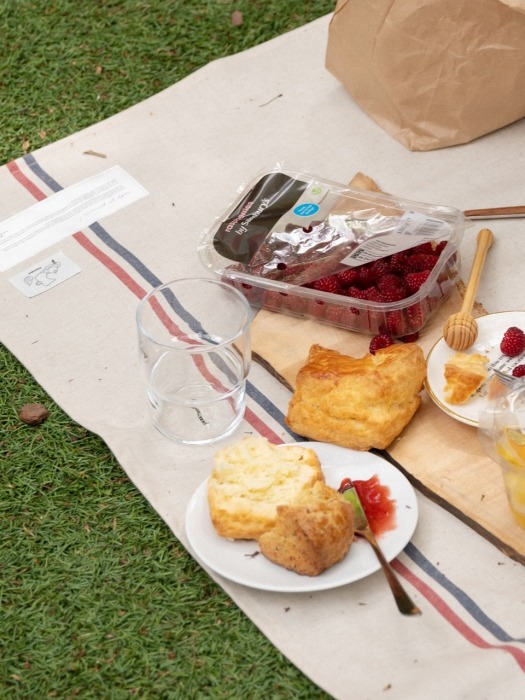 waterproof picnicmat (french)