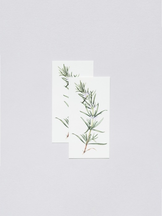 Rosemary Scented Pairs 타투 스티커
