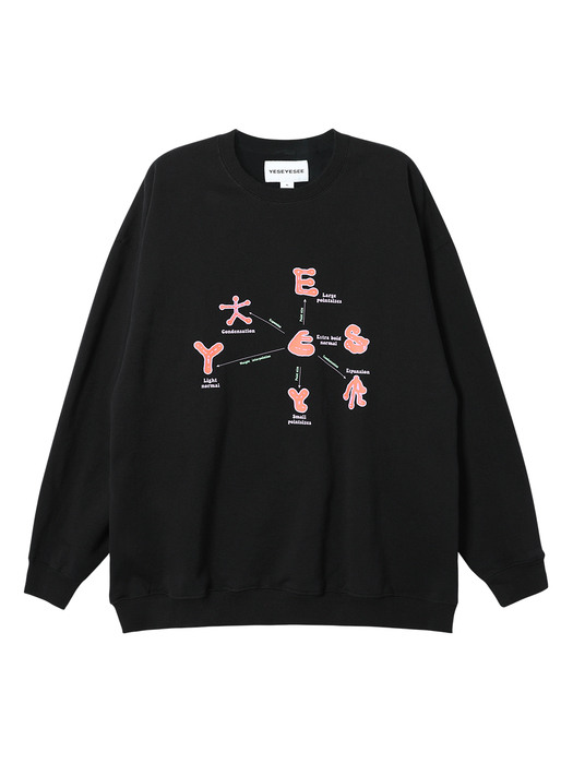 Y.E.S Optical Sweatshirts Black
